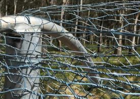 Assistance for fire-damaged fences