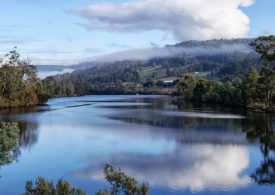 2020 Volunteer Service Awards recipients announced