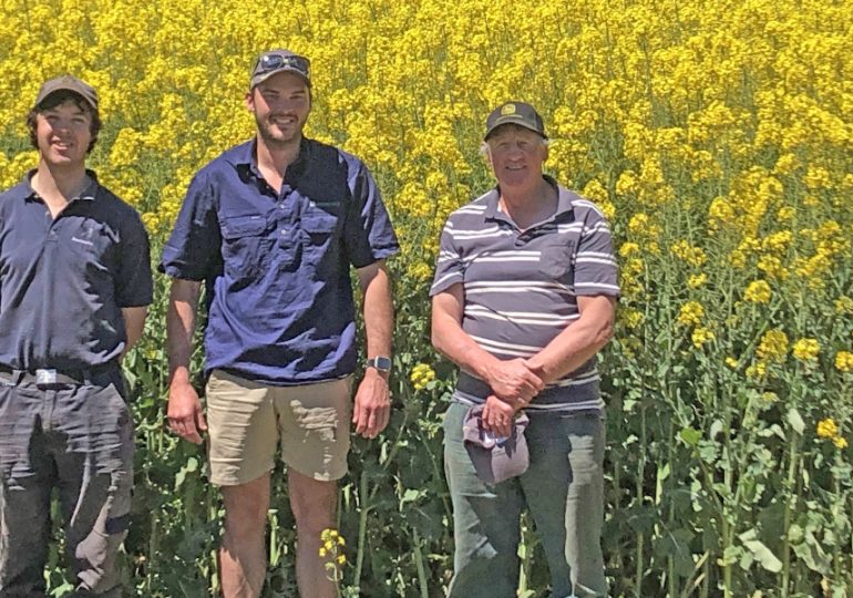 Blowhard farmer grows huge canola crop