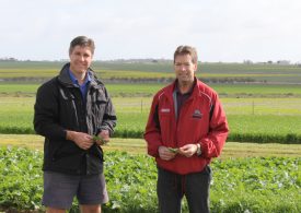 ‘Intelligent’ weeds evolve to evade controls