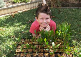 Conservation 'super group' recruiting more than 300 new volunteers to restore native habitat