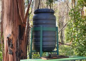 Projects receiving support from Landcare Australia's $300,000 bushfire recovery grants