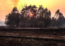 Boundary fence grants