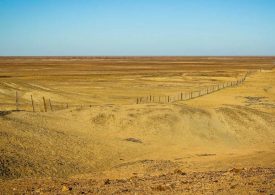 SA Dog Fence rebuild suppliers & contractors