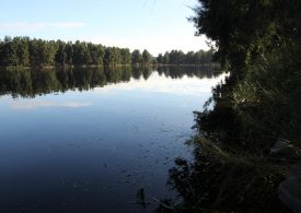 Know the drowning risks of swimming in cold water