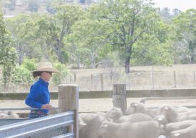 Know your winter feed gap