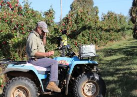Results of the 2020 producer survey are in