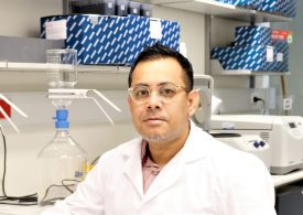 Australian researchers track COVID-19 in wastewater from plane and cruise ship passengers