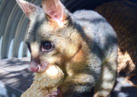 School holiday fun on site and online