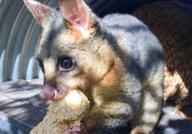 School holiday fun on site and online