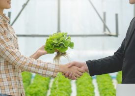 Big boost for small-scale and craft agribusinesses