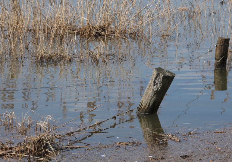 Disaster assistance following storms and floods in western NSW