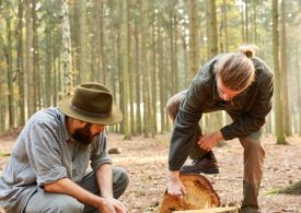 Growing forestry jobs through innovation