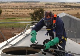 We need your weevils: survey to measure phosphine resistance in grain storages