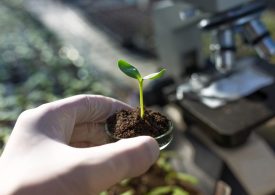 Bright future for plant health research