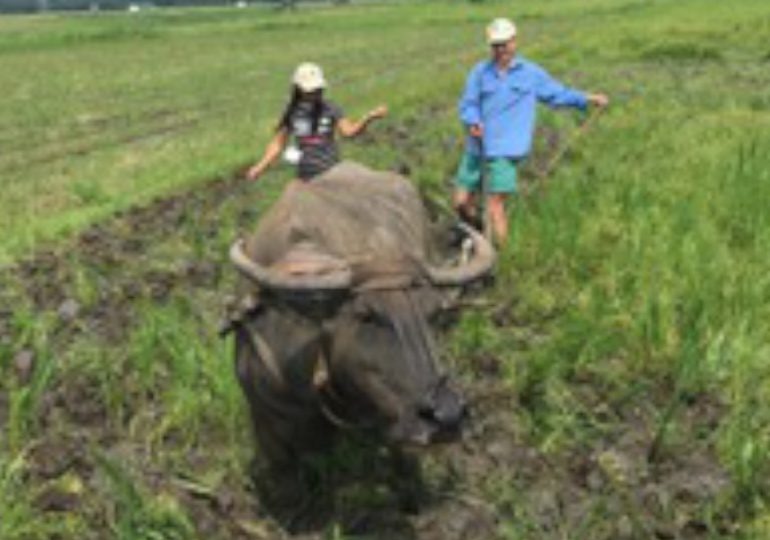 Science for Food Security:  Making a Global, Professional and Personal Difference