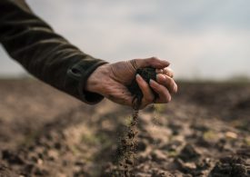 Farmers urged to apply for support to manage droughts