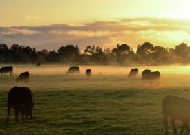 Two weeks to go - returns due by 31st August 2020