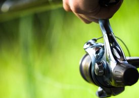 Funding boost for local fishing projects