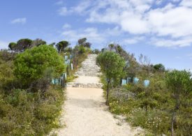 Seagrass paves the way for a carbon-neutral Rottnest