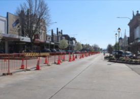 Auburn Street urban tree canopy to increase
