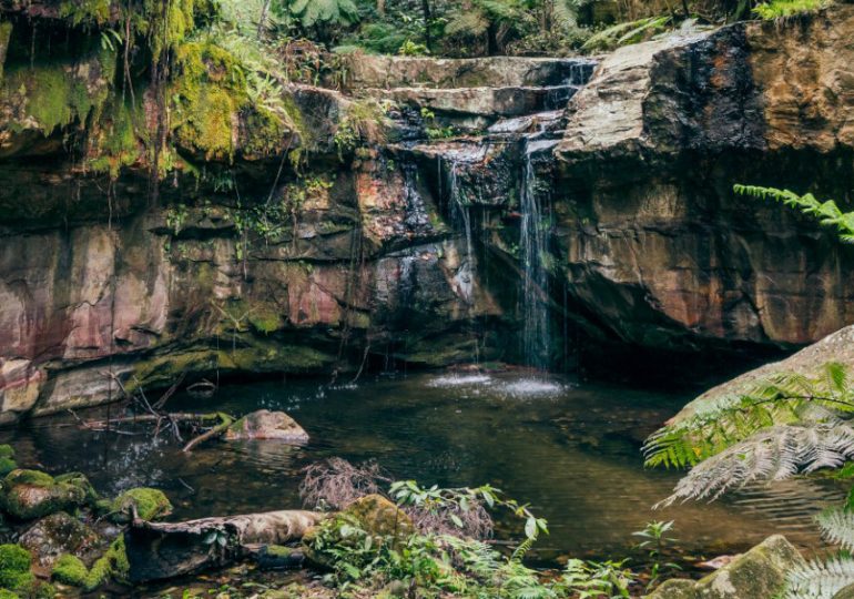 Central Highlands Regional Council renews Reef Guardian commitment