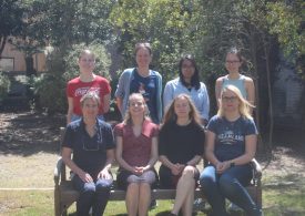 Our Members, CSIRO and MLA developing new ways to control wild rabbit populations