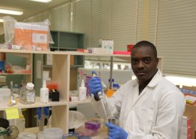 Plant virus detection improves, protecting Victorian borders