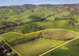 Barossa vineyard offers unique tree change