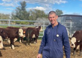 NSW livestock disease investigations following drought-breaking rains