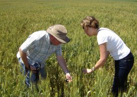 Don’t risk crop failure – plan your surveillance activities