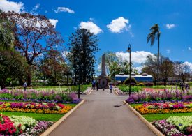 Floral Friday to mark the official start of the Toowoomba Carnival of Flowers