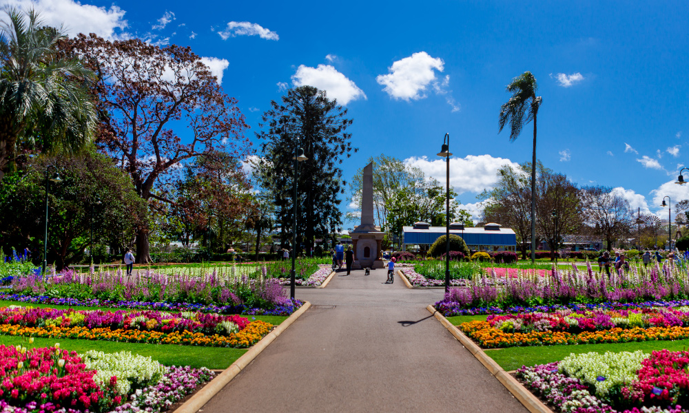 Floral Friday to mark the official start of the Toowoomba Carnival of