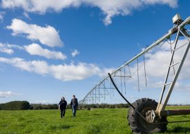Farmer's growing optimism