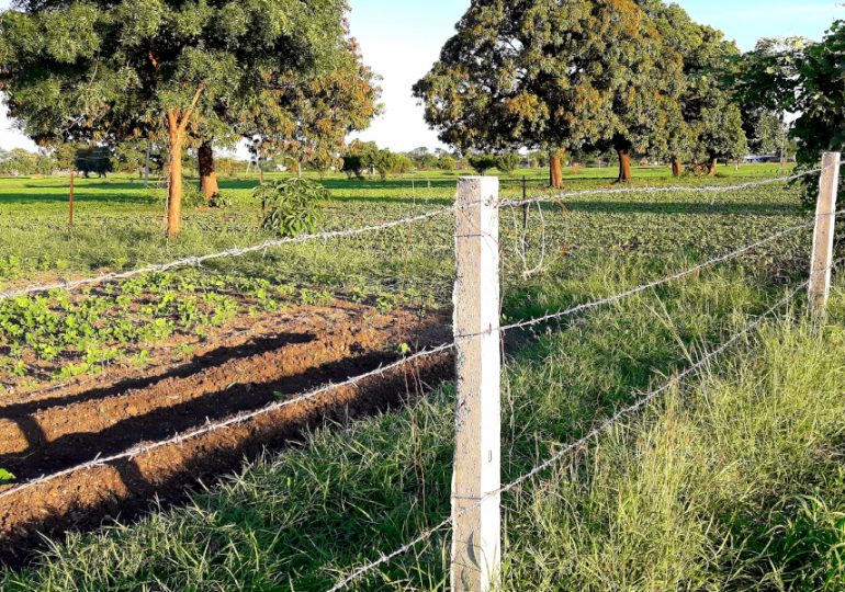 Primary producer fire recovery support expanded