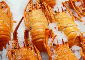 Back of boat sales offers more rock lobster for Western Australians