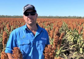 Aussie growers urged to plant swiftly and strategically as summer approaches