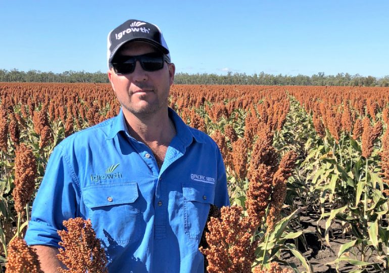 Aussie growers urged to plant swiftly and strategically as summer approaches