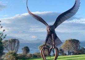 Site chosen for Bemboka’s ‘Landed’ sculpture