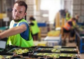 The notification process following a detection of fruit fly larvae in produce sold interstate