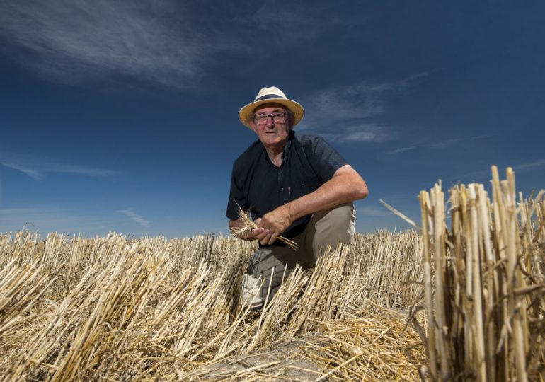 Plan for nutrient removal impact when making hay cutting decisions