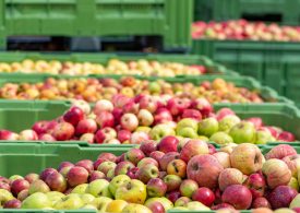 Mildura storage facilities boosts fruit exports and jobs