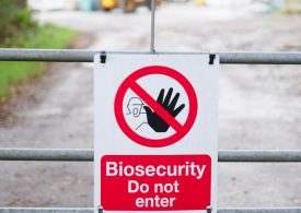 Plant industries unite to thwart exotic pests threat