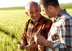 New training supports grains industry workers
