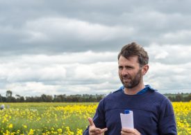 NSW growers invited to hyper yielding crops field day