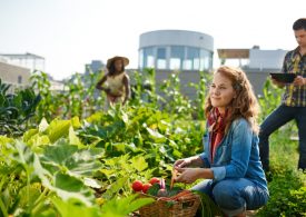 Soils & Nutrition Masterclass for horticulture growers