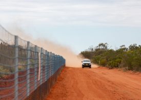 Have your say on the NSW Wild Dog Fence Extension project through community consultation sessions