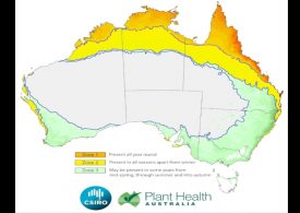 Defending against a new pest, fall armyworm