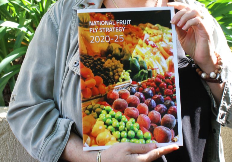 Blueprint for national cooperation on fruit fly released