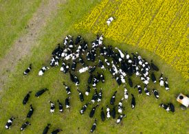 Lower energy costs for dairy farmers